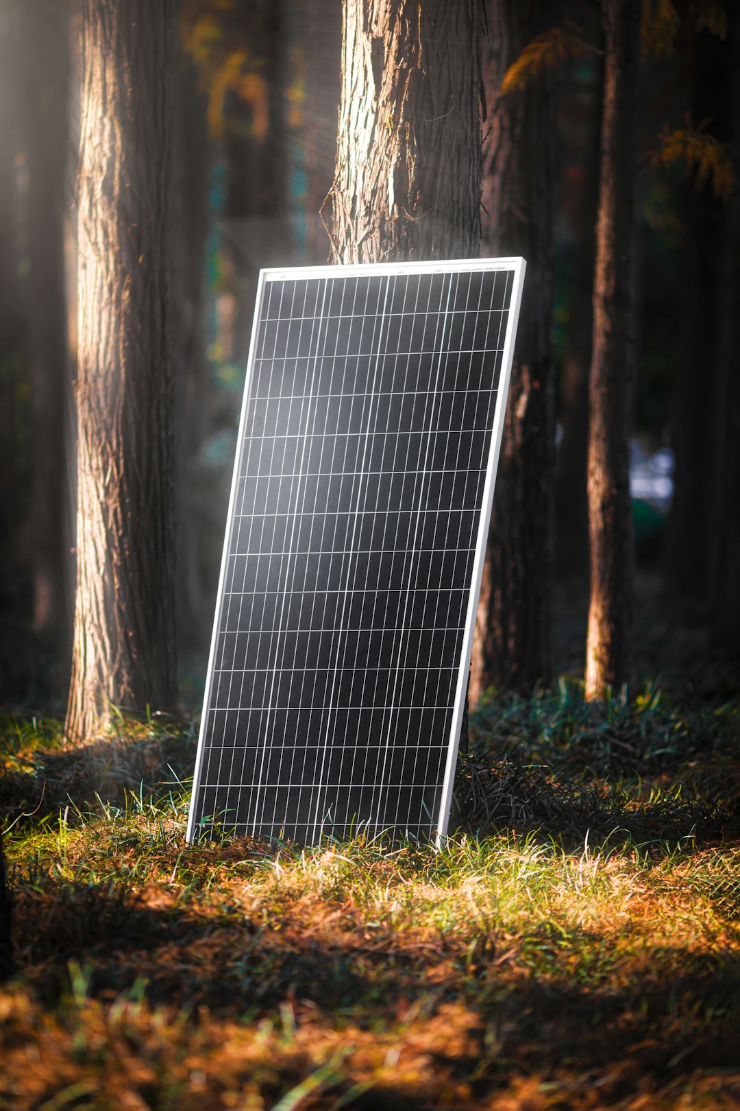Newpowa 210W mono solar panel life pic
https://www.newpowa.com/collections/rigid-solar-panels/products/210w-mono-12v-solar-panel